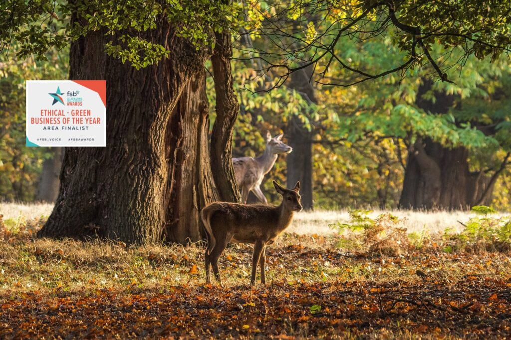 Ethical – Green Business of the Year 2019