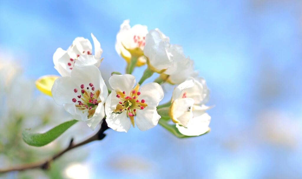 Spring Economic Upswing