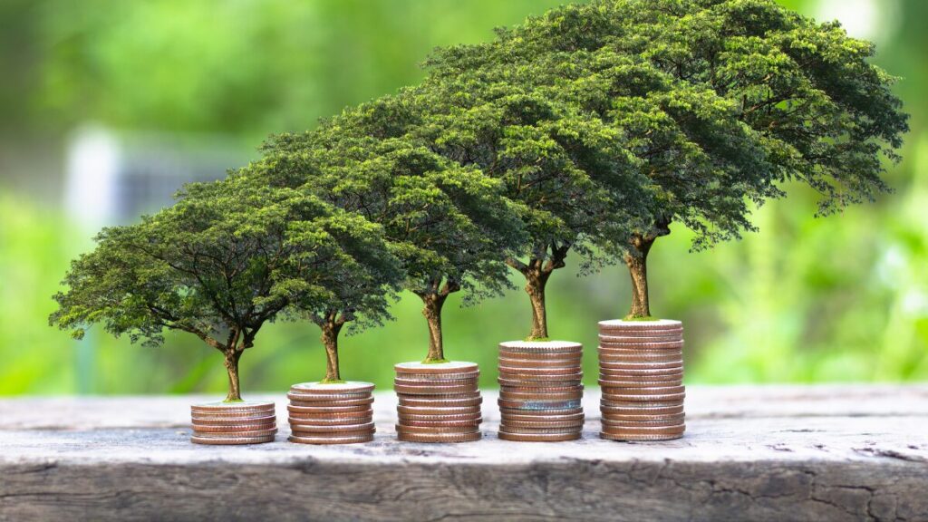 How to Structure a £500,000 Investment Portfolio